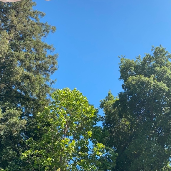 Meet your Posher, Cheryl - Picture 1 of 1